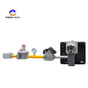 Caldera de gas, quemador de Bajo nitrógeno BLU <span class=keywords><strong>TC</strong></span> FS1, suministrado directamente por fábrica china - Product Image 3