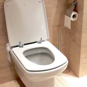 Charnières de siège de toilette Feng Hao en alliage de zinc FH-0023 pour hôtels et maisons d'hôtes - Product Image 4