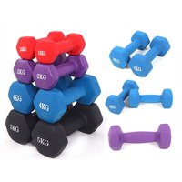 Haltère hexagonal fixe en fonte recouvert de néoprène pour musculation à domicile, vente en gros, offre spéciale usine