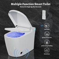 En gros Toilettes intelligentes monobloc en céramique avec bidet intégré, chasse d'eau automatique, siège chauffant et télécommande pour la maison et l'hôtel