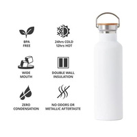 Botol Air Stainless Steel 25oz Dinding Ganda Terisolasi untuk Perjalanan, Gym, Olahraga, Termos dengan Tutup Bambu
