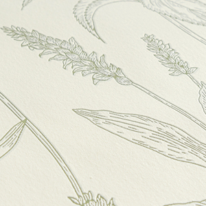 373635 Papiers peints Peel & Stick Revêtement décoratif mural facile à appliquer - Product Image 4