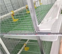 Cage Batterie H Moderne pour Poules Pondeuses 60/80 Oiseaux, Automatique, Galvanisée pour Élevage Avicole Professionnel