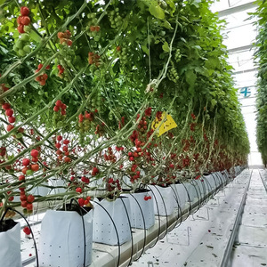 Greenhouse Cocopeat Growing Bags Hydroponics Strawberry Gutter System With Irrigation Fittings Soilless Cultivation Media - Product Image 4