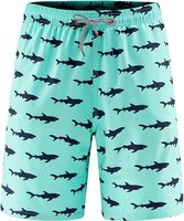 2024 Board Shorts de plage hommes maillot de bain Vintage Streetwear Shorts Surf Wear Shorts de bain pour hommes