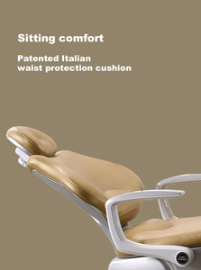 Italy Safety M9+ High Quality Anthoss Led Light Portable Foldable <strong>Dental</strong> Dentist <strong>Chair</strong> with Factory Only Lifting Function - Product Image 3