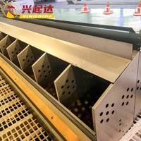 Nid de poule pondeuse ferme de poulets Nid d'oeufs de ponte de poulets automatique