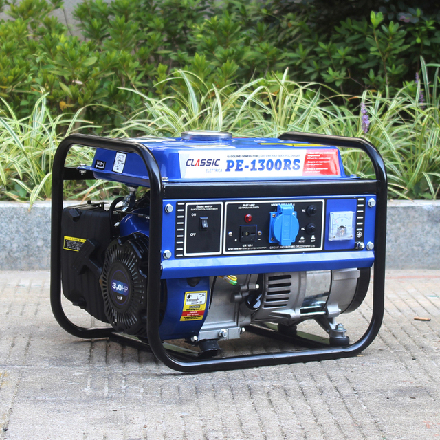 BISON(CHINA) 1kW Portable Petrol Generator 50Hz/60Hz 220V/230V Remote Start Lightweight Home Backup Camping Outdoor Use