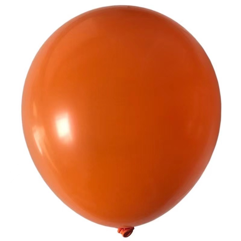 Factory Latex Matte Balloons 10Inch Party