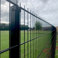 Valla 868 con Recubrimiento de Polvo Negro y Malla de 50x200mm para un Aspecto Moderno