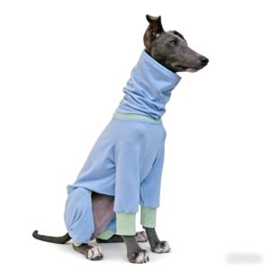 Ropa para <span class=keywords><strong>Perros</strong></span> Titancore, Nuevo Estilo, Protección UV, Diseño Transpirable, Cuatro Patas, Cuello Alto, Protección Solar para <span class=keywords><strong>Razas</strong></span> Grandes - Product Image 3