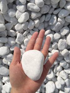 Guijarros blancos Piedras caídas Piedras blancas paisaje blanco de Vietnam - Product Image 5