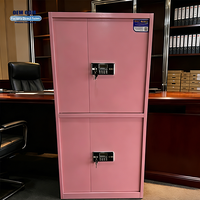 Armoire de rangement en acier pliable à 2 portes Bo Jiao moderne pour bureau et supermarché, armoire de classement en métal