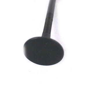 Katup Buang 99432837 untuk Mesin IVECO FIAT PEUGEOT <span class=keywords><strong>2</strong></span>,8 8140.43 - Product Image 3