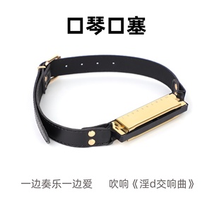 Accessoires de sexe SM amusant Harmonica bouche Plug Couple taquineries flirter nouveau Unique reliure bouche balle formation Sex Toy - Product Image 4