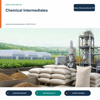 Benzenesulfonate de sodium 70% en poudre, sac de 10 kg, détergent, tensioactif, intermédiaire pour colorants
