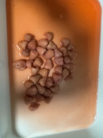 Groothandel Verse Zoete Aardbei In Blikjes, Ingeblikt Fruit Bulkpakket Voor Foodservice En Export