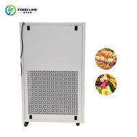 Commerciële mini-vriesdroogmachine voor de productie van jackfruit- en appelchips. Kleine vriesdroogmachine.