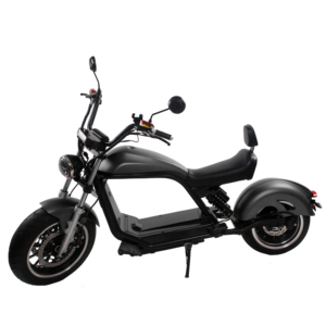 Holland Warehouse Luqi HL6.0 2000w 3000w 1500w con Asiento, Batería de Litio 20Ah 24ah - Product Image 1