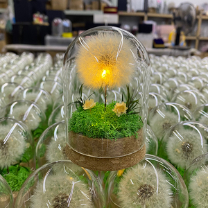 Cupola di Vetro LED con Dente di Leone Stabilizzato Unico, Luce Notturna a Forma di Fiore del Desiderio Eterno, Regalo per San Valentino, Festa della Mamma, Compleanno - Product Image 1