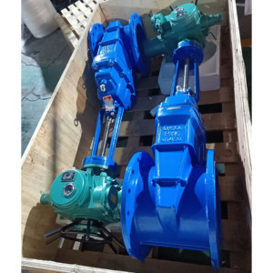 Customization Motorized Ductile <b>Iron</b> Soft Sealing Flange Gate With Actuator Z45X Actuator Gate - Product Image 2