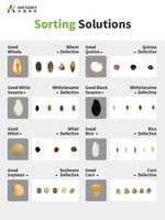 Clasificador de Color y Forma para Maíz con IA, Aprendizaje Profundo, Levitación Magnética, Alta Precisión (>99.99%), Cinta Transportadora de Canal Único, APP