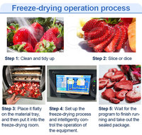 Machine de lyophilisation de fruits HNOC, prix, petit modèle, mini équipement de laboratoire, équipement de lyophilisation sous vide, lyophilisateur alimentaire domestique