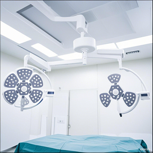 Medical Pet Oral Medicine Beauty Suspended Mobile LED <strong>Halogen</strong> Single Head <strong>Double</strong> Head Direct Sales Surgical Shadowless <strong>Lamp</strong> - Product Image 2