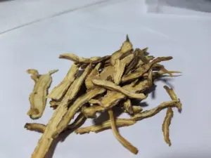 Food Grade Water Souble Angelica Root Extract 10:1 Dong Quai Extract