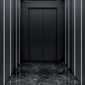 Morden Compact Villa Lift Elevador de accionamiento de CA superior con alta calidad - Product Image 1