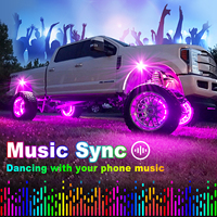 Kits d'éclairage au néon multicolore de synchronisation de musique APP/RF sans fil en gros Décoration extérieure de voiture LED RVB Rock Lights