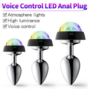 SacKnove Nouveau Jeu Sex Toys Commande Vocale LED Flash Usb Érotique Sm Butt Insert Femmes Vaginal Gay Hommes Anus Métal Lumière Anal Plug - Product Image 2
