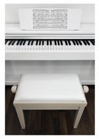 CE Certified Heavy-Duty 49.5-57.5cm Piano Bench Musical Instrument Accessory