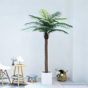 <span class=keywords><strong>Vendita</strong></span> diretta in fabbrica per interni grandi <span class=keywords><strong>bonsai</strong></span> di palma verde - Product Image 4