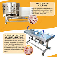 Machine de transformation du poulet |   Épilation des plumes |   1000 oiseaux/heure |   Plumeuse automatique |   Outils de boucherie |   Norme ISO