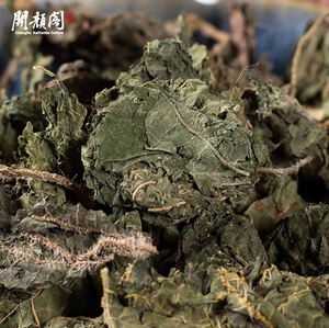 KAIYANGE <span class=keywords><strong>Tisane</strong></span> séchée naturelle d'ortie entière sans ajout d'approvisionnement direct en gros biologique meilleure herbe botanique - Product Image 3