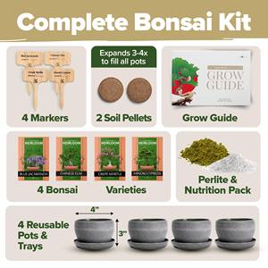 Kit <span class=keywords><strong>d</strong></span>'arbre bonsaï Offre Spéciale cultivé à la maison facile à cultiver 4 espèces pour jardin ensemble de <span class=keywords><strong>d</strong></span>écoration extérieure pour <span class=keywords><strong>espace</strong></span> de sol pour femmes hommes - Product Image 2