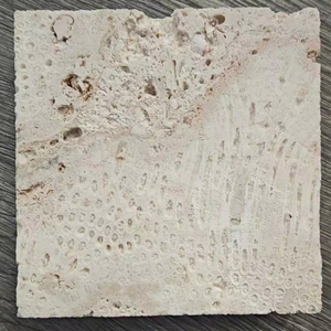 Piedra <span class=keywords><strong>de</strong></span> Coral Natural Blanca Beige, Agujeros Sin Rellenar, Color Crema Beige, Travertino, <span class=keywords><strong>Coralina</strong></span>, Losa, Azulejo, Panel <span class=keywords><strong>de</strong></span> Pared, Ladrillo - Product Image 1