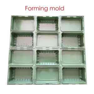 PET PP Nhựa Dùng Một Lần Ăn Trưa Hộp Thực Phẩm <span class=keywords><strong>Container</strong></span> Chân Không Thermoforming Making Machine - Product Image 5