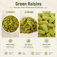 Raisins verts séchés FD naturels en vrac OEM, sans pépins, sucrés, Sultana, collation saine, ingrédient de pâtisserie, prêts à consommer, 10 kg