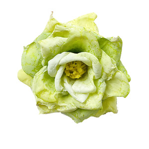 Têtes de roses miniatures simulées 8 cm en tissu style vintage pour décoration de mariage et accessoires de cheveux DIY - Product Image 5