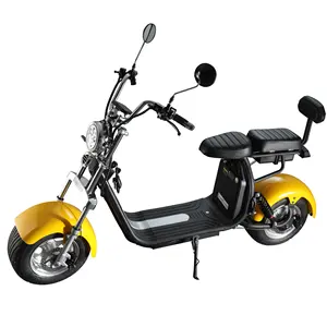Electric Motorcycle Scooter Adult Powerful 1000W 2000W Removable Battery Scooter Electric HALrEY Motorcycle