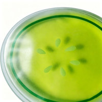 Gel Ice Pack Coussinets de refroidissement réutilisables pour les yeux et sous les yeux Patches concombre Cold Hot Packs Cute Cooling Ice Eye Masks