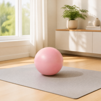 Ballon d'exercice Qiqiang personnalisé en PVC de 25 cm (9 pouces) pour yoga et Pilates avec fonction de massage, entraînement du tronc, pompe incluse, pour femme