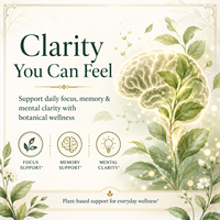 Capsules Premium Complexe de Bacopa avec Extrait de Ginkgo Biloba et de Rhodiola 100mg – Complément Herbal Quotidien pour la Mémoire et la Concentration – Vente en Gros