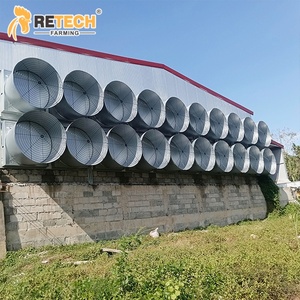 36,000 case di pollo sistema di sollevamento del pavimento della griglia per la batteria gabbia attrezzature con sistema di pulizia del letame - Product Image 6