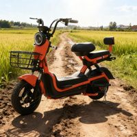 Scooter Électrique SEG 2025 – Modèle Eb16 48V 350W avec Moteur Arrière Intelligent et Électronique – Moto Urbaine – Prix Chine