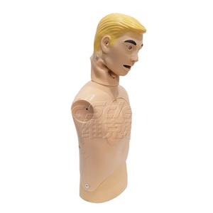 Maniquí de Entrenamiento Médico para Enfermería, Modelo Avanzado para el Cuidado de Sondas Nasogástricas y Traqueales, Maniquí de Entrenamiento Médico - Product Image 1