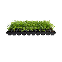 Plateau de semis Microgreens en plastique à 50 cellules avec petits trous pour un bon drainage Plateaux et couvercles de pépinière adaptés à la culture hydroponique