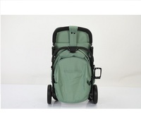 Poussette tendance à succès avec pare-soleil et capote réglable, pliable pour bébés de 0 à 3 ans SHUANGXING SX-S5506
